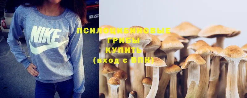 Галлюциногенные грибы Magic Shrooms  кракен как зайти  Никольское 